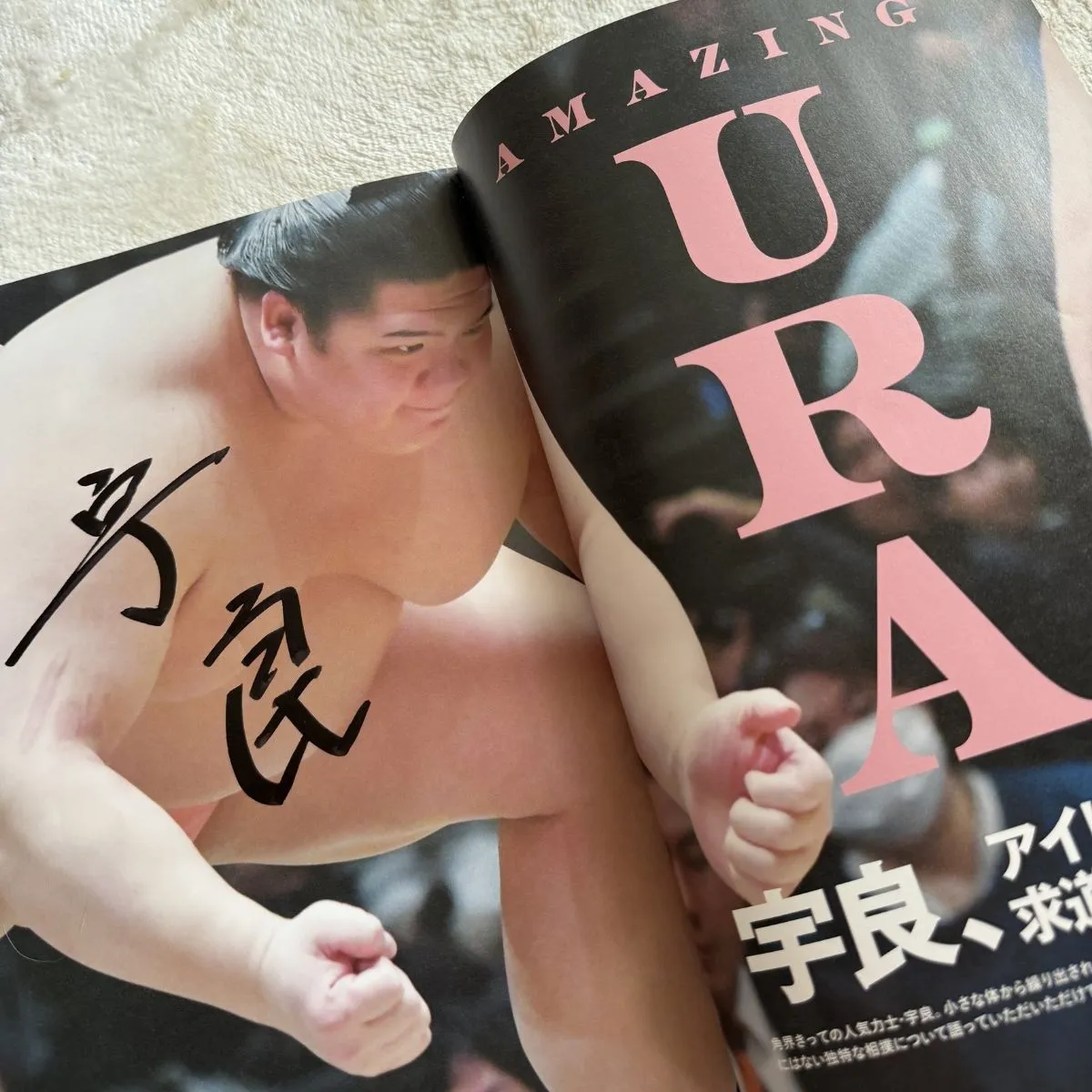 宇良関の着物をデザイン制作